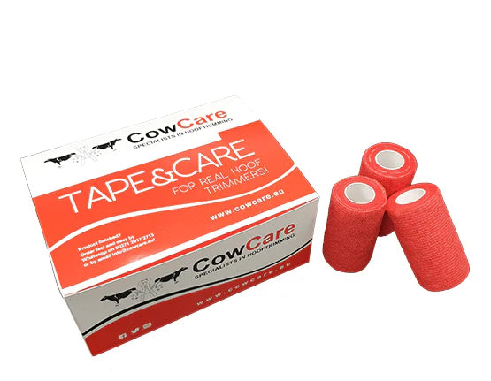 Bandages, Shoes & Glues